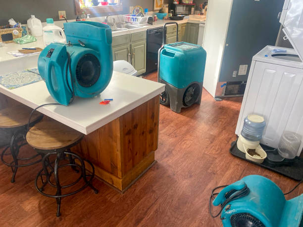 Best Emergency water damage restoration  in Temperance, MI