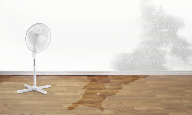 Best 24-hour water damage restoration  in Temperance, MI