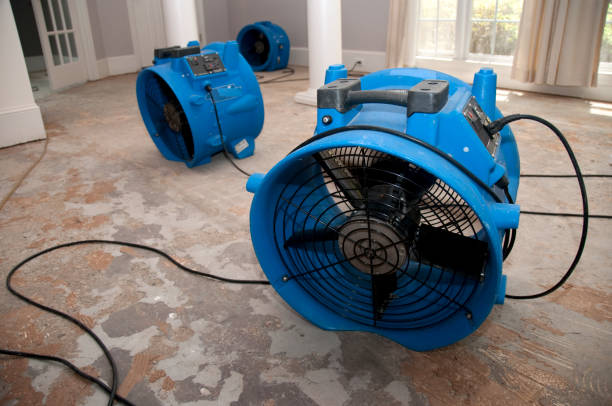 Best 24/7 water damage repair  in Temperance, MI