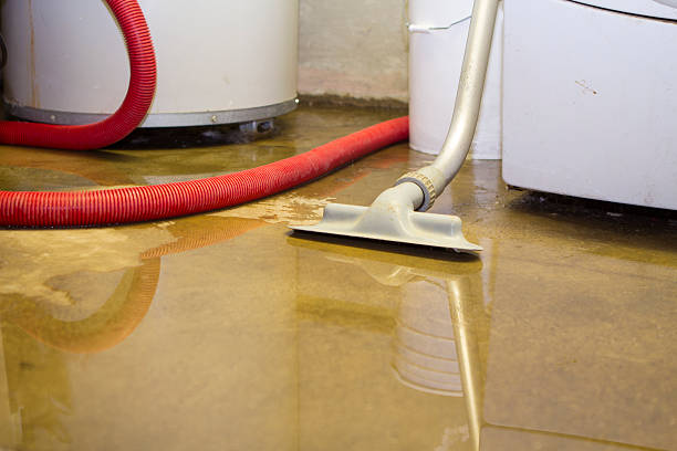 Best Fire Damage Restoration  in Temperance, MI