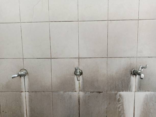 Best Residential water damage restoration  in Temperance, MI