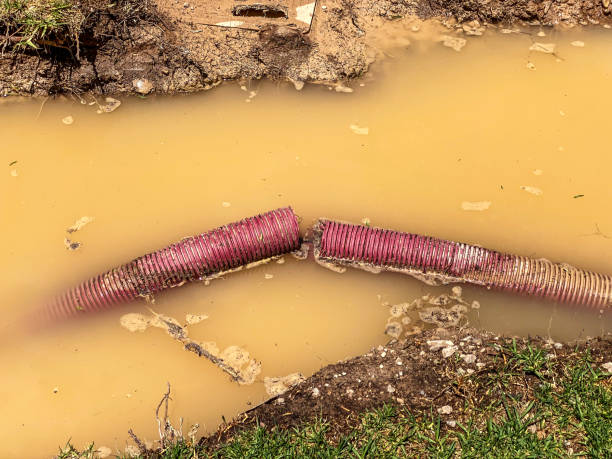 Best Water damage restoration near me  in Temperance, MI