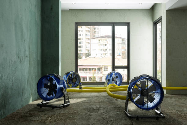 Best Water damage contractors near me  in Temperance, MI